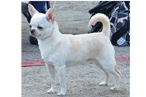 Thumbnail Placeholder