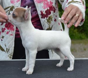 Thumbnail Placeholder